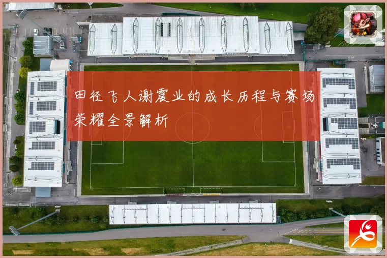 田径飞人谢震业的成长历程与赛场荣耀全景解析