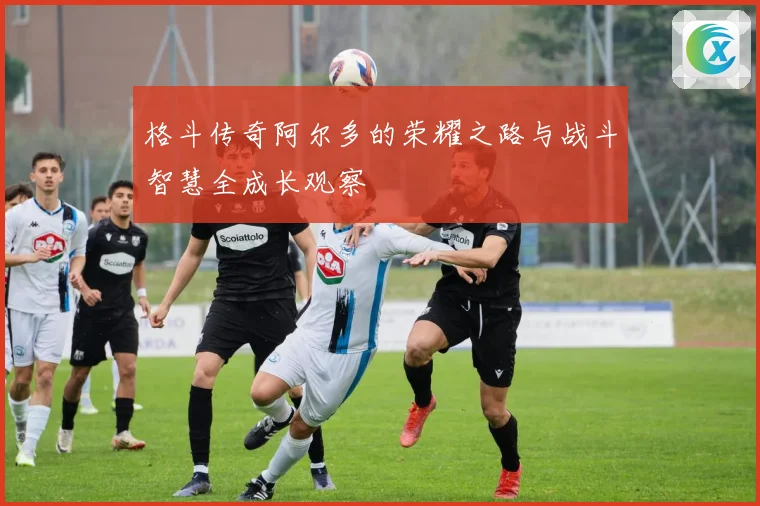 格斗传奇阿尔多的荣耀之路与战斗智慧全成长观察