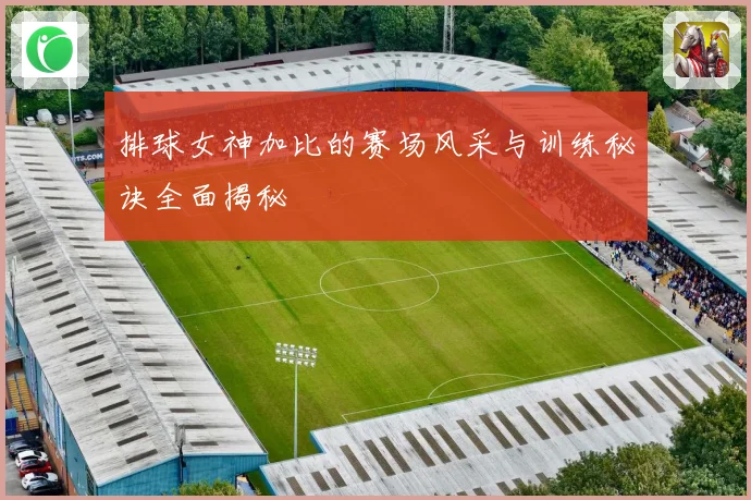 排球女神加比的赛场风采与训练秘诀全面揭秘