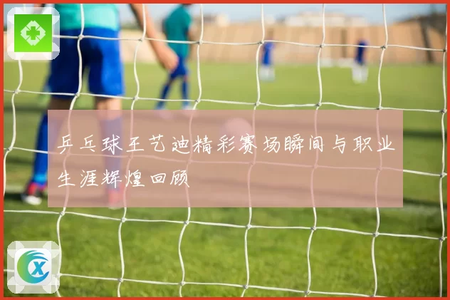 乒乓球王艺迪精彩赛场瞬间与职业生涯辉煌回顾