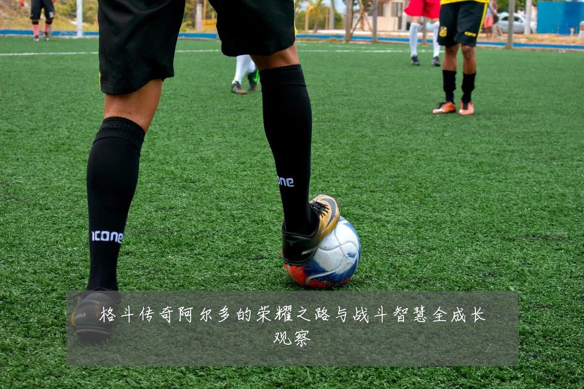 格斗传奇阿尔多的荣耀之路与战斗智慧全成长观察