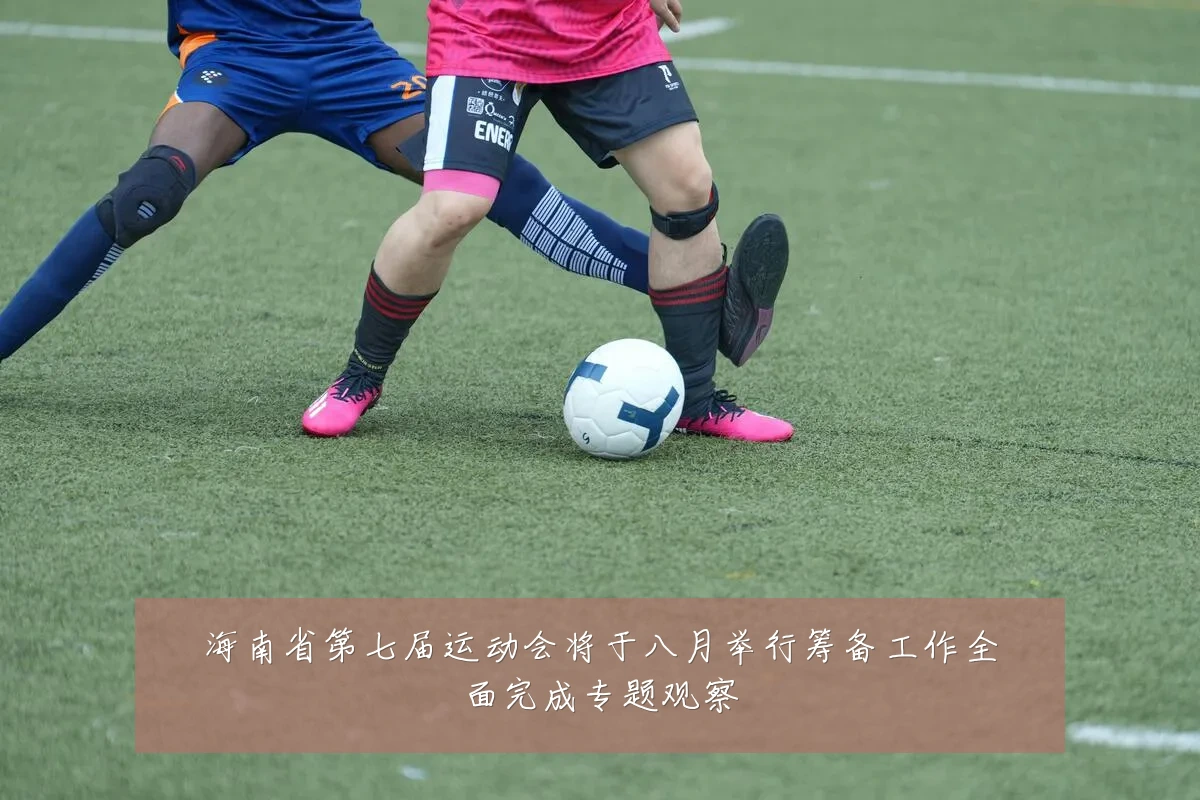 海南省第七届运动会将于八月举行筹备工作全面完成专题观察